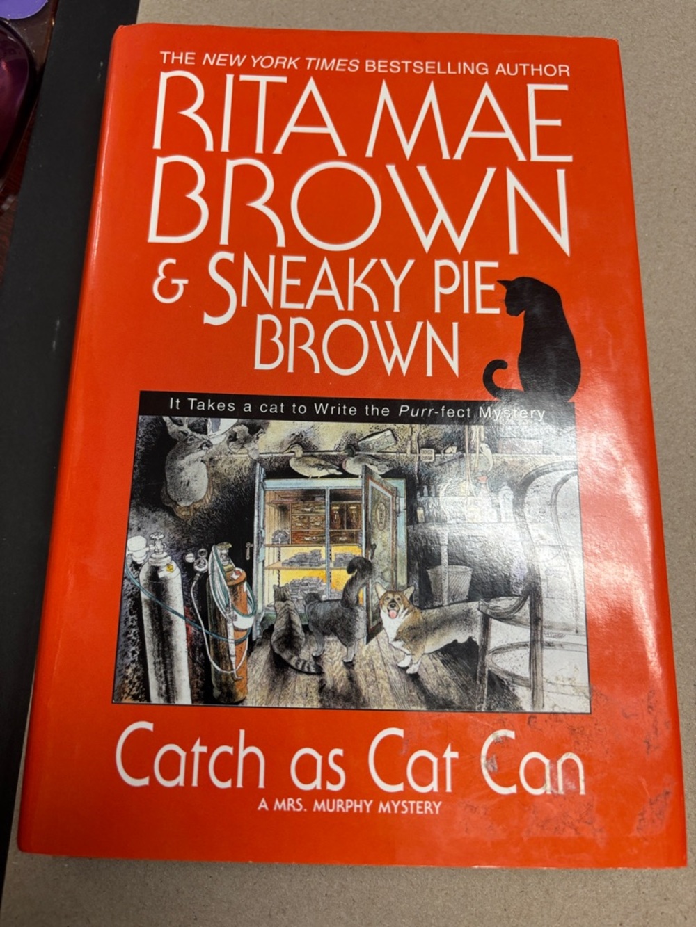 Catch as Cat Can - Orange Cat Book Cover